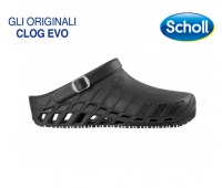 CLOG-EVO-31004_1