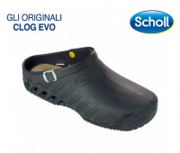 CLOG-EVO-31004
