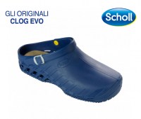 CLOG-EVO-31007
