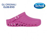 CLOG-EVO-31026_1