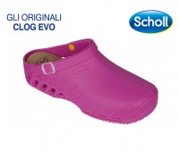 CLOG-EVO-31026