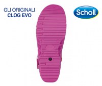 CLOG-EVO-31026_2