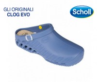 CLOG-EVO-31032