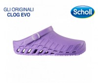 CLOG-EVO-31033_1