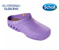CLOG-EVO-31033