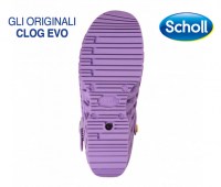 CLOG-EVO-31033_2