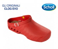 CLOG-EVO-31051