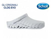 CLOG-EVO-31065_1