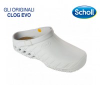 CLOG-EVO-31065