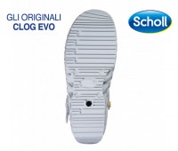 CLOG-EVO-31065_2