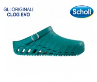CLOG-EVO-31361_1