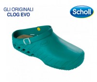 CLOG-EVO-31361
