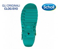 CLOG-EVO-31361_2